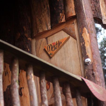 Hotel Cabanas Yoliztli Zacatlán Zewnętrze zdjęcie
